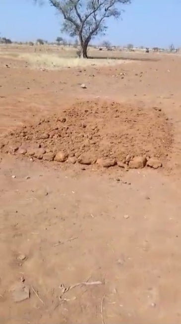 Screengrab of a video showing one of the eight reported mass graves in Soro. The person who recorded the video said it contains the bodies of 10 children. Human Rights Watch also geolocated a photograph showing the bodies of nine boys on the ground at the same location. 