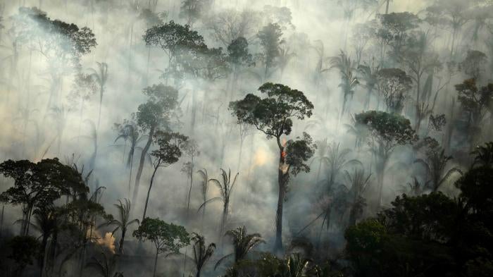 Smoke billows during a fire in an area of the Amazon rainforest near Porto Velho, Rondonia State, Brazil.  