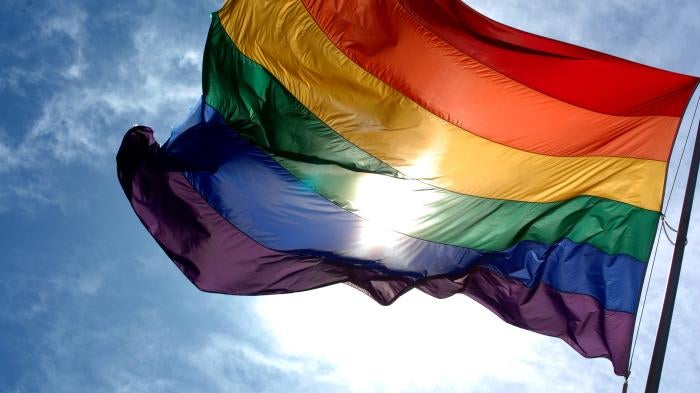 A rainbow LGBT pride flag. 