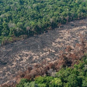 Image of an illegal deforestation strip in the Amazonian forest recorded during the Ibama’s Operation Brigada Verde, in Rondonia, Brazil in August 2019