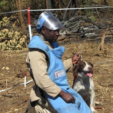 Deminer Bonfacio using a dog to help with mine detection in Manicia province, Mozambique.