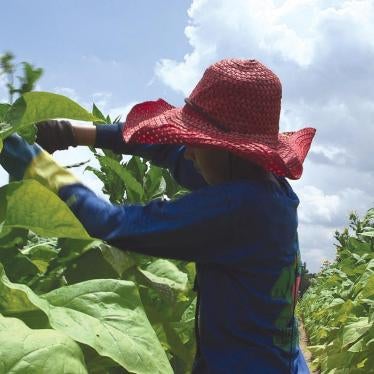 A 15-year-old girl works on a tobacco farm in North Carolina. July 2013.