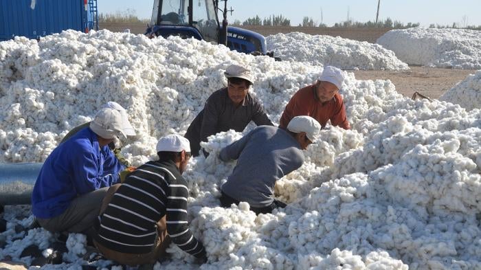 Workers load cotton onto a truck at a sunning ground in Alar (Alaer), northwest China's Xinjiang Uygur Autonomous Region, September 2015.