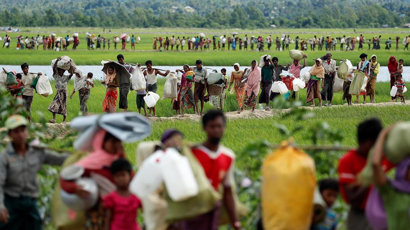 Rohingya refugees walk through rice fields after crossing the border from Myanmar into Palang Khali, Bangladesh, October 19, 2017.