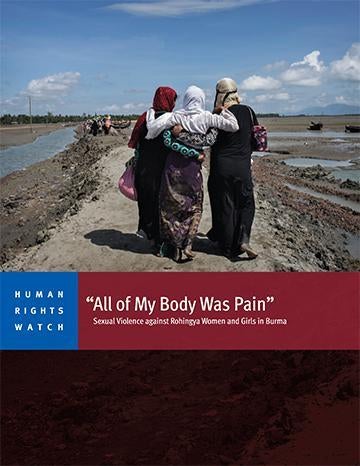 Cover for Burma Report
