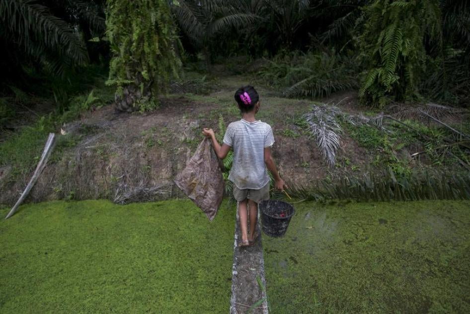 Uma criança carrega grãos de palma coletados do solo ao longo de um riacho em uma plantação de óleo de palmeira na Sumatra, Indonésia, novembro de 2017. © 2017 Binsar Bakkara / AP Photo 
