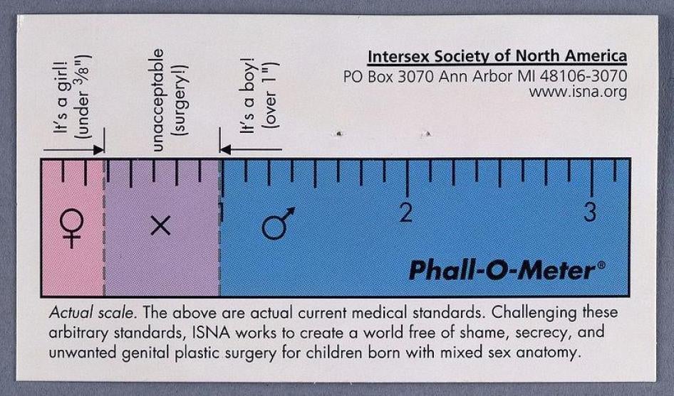 The Phall-O-Meter, developed in the 1990s by the Intersex Society of North America (ISNA), was a satirical activism tool to highlight how doctors made subjective judgements about atypical genitalia then based their surgical advice on that analysis. 