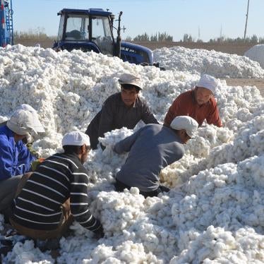 Workers load cotton onto a truck at a sunning ground in Alar (Alaer), northwest China's Xinjiang Uygur Autonomous Region, September 2015.