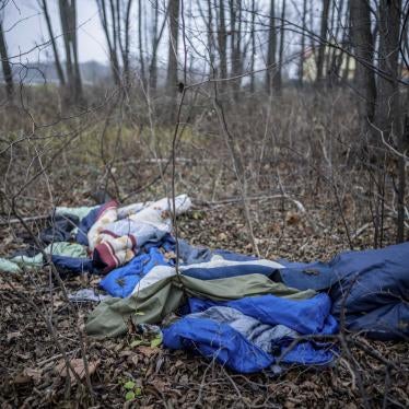 Blankets and sleeping bags strewn across a forest floor