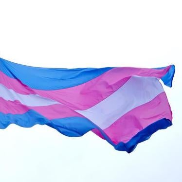 The transgender pride flag. 